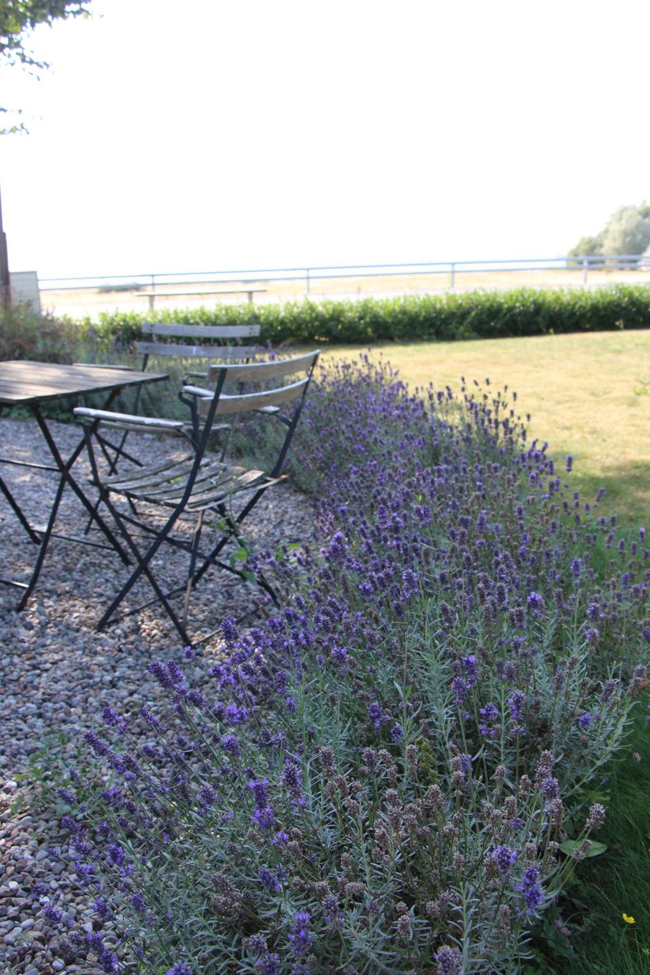 Bjerred B&B Bjärred Esterno foto