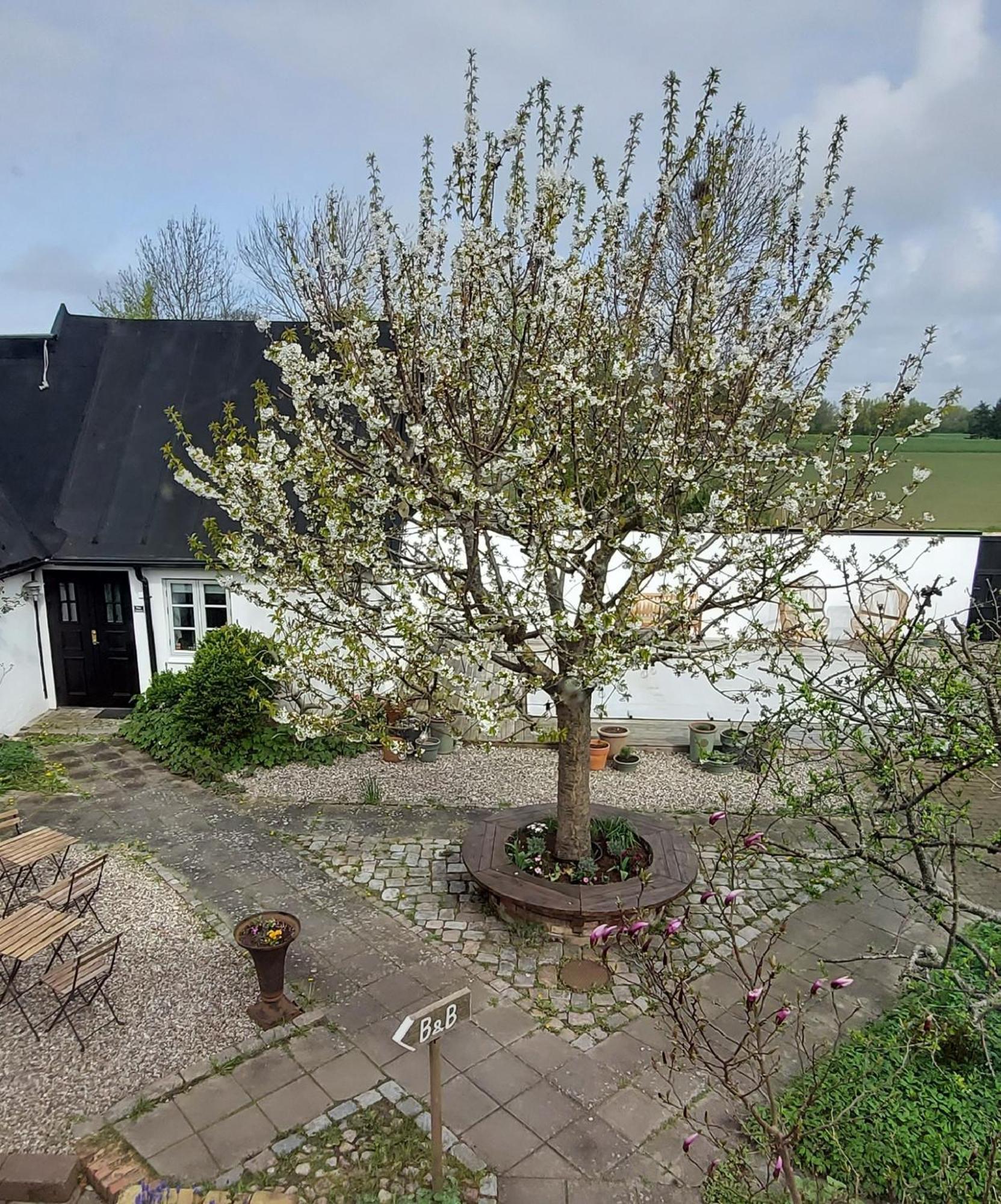 Bjerred B&B Bjärred Esterno foto